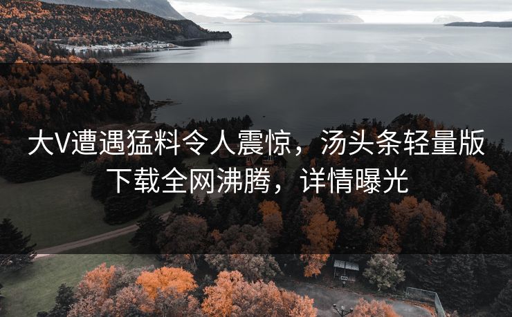 大V遭遇猛料令人震惊，汤头条轻量版下载全网沸腾，详情曝光