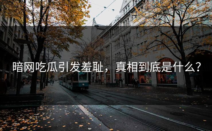 暗网吃瓜引发羞耻，真相到底是什么？